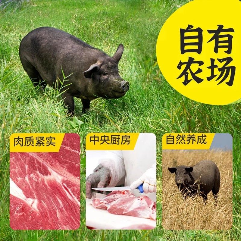 苏食老字号黑猪实力肉肠纯肉烤肠早餐肉肠烧烤,淘宝优惠券,粉丝福利购,淘宝优惠卷