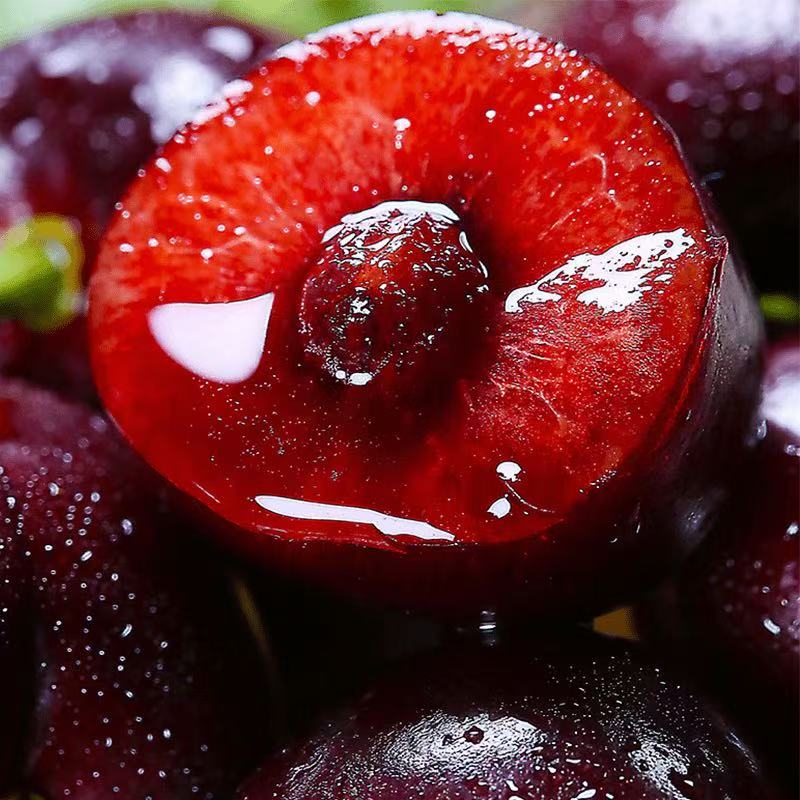 88VIPڳʴ 5 3J 30mm()-32mm() 151.8Ԫ+6ԪԽ