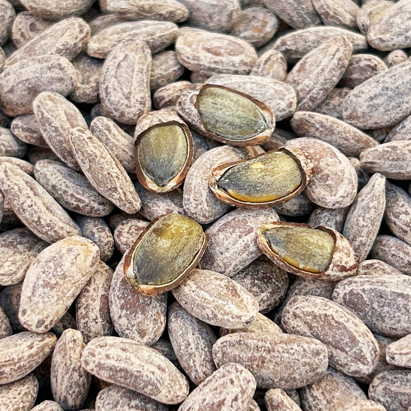 奶油味吊瓜子瓜籽瓜蒌子原味坚果干果仁办公室零食