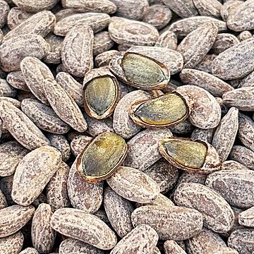 奶油味吊瓜子500g办公室零食[5元优惠券]-寻折猪