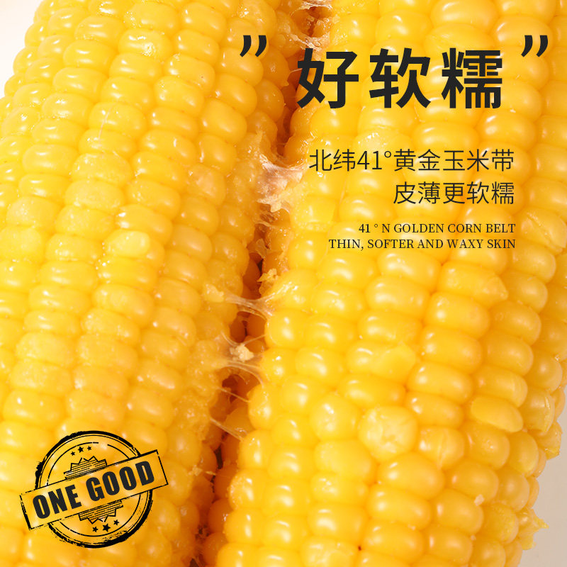 创宙 轻语拾光黄糯玉米非东北粘苞米低脂主食早餐代餐真空装
