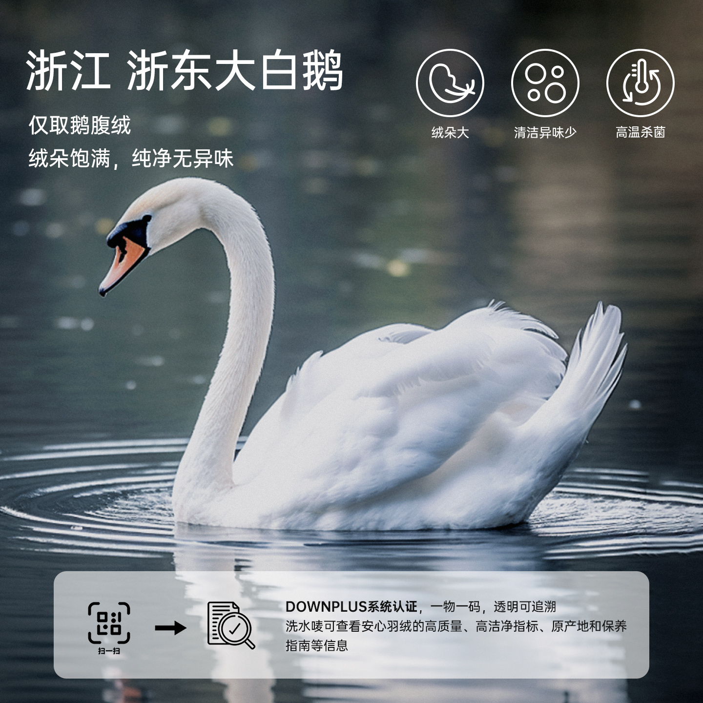 微狮牧尼白鹅绒宝宝羽绒内胆冬季保暖婴儿羽绒外套儿童轻薄羽绒服 - 图3