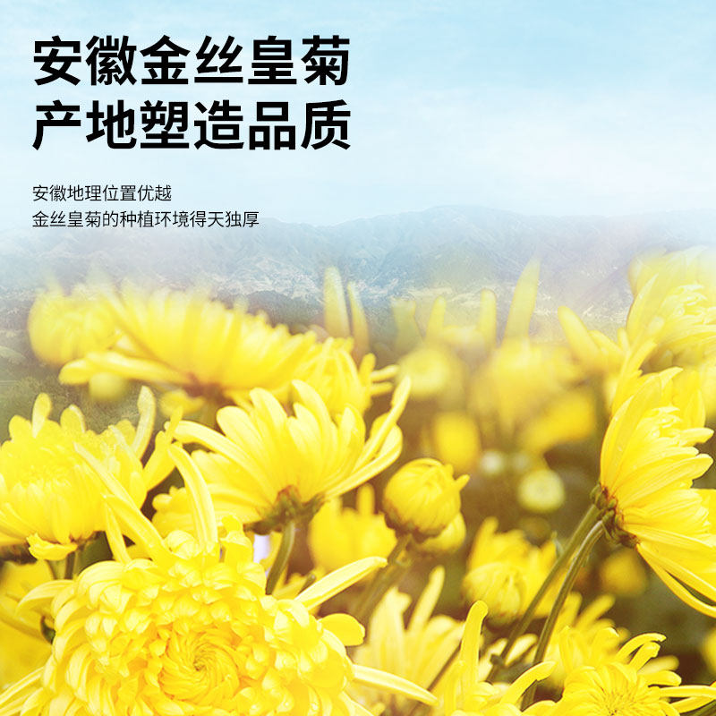 同仁堂品牌 北京同仁堂金丝皇菊花特大朵贡菊级胎菊枸杞养生茶,淘宝优惠券,粉丝福利购,淘宝优惠卷