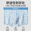 MiiOW Cat Man Men's Pure Cotton Boxer Briefs Boneless