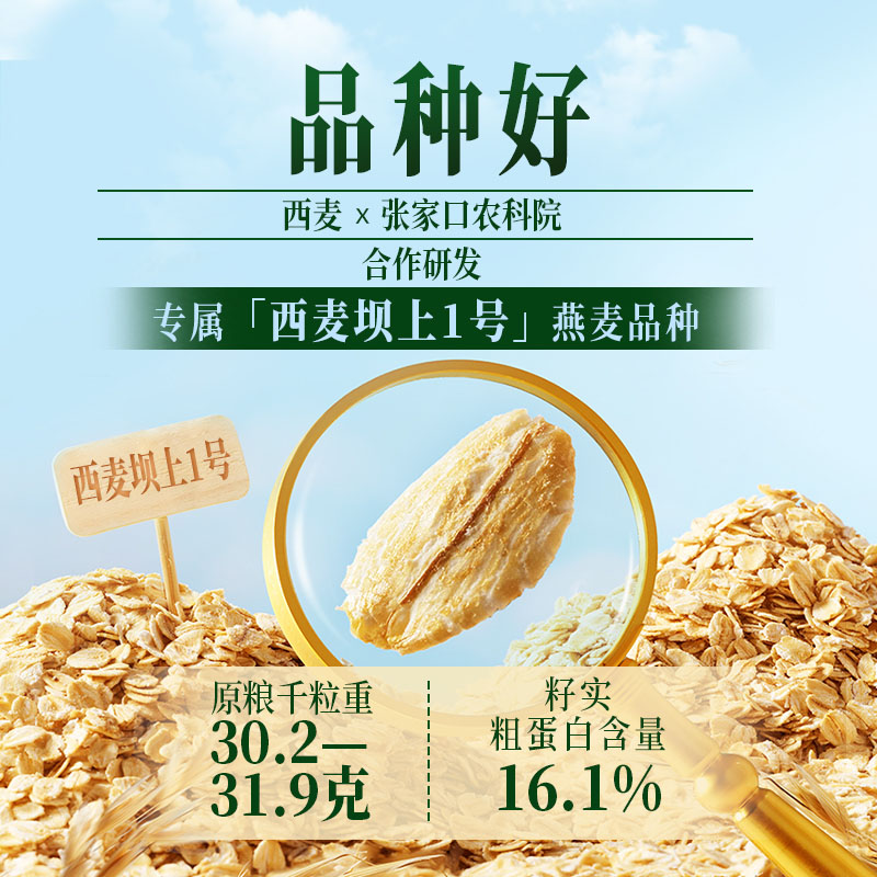 【新品】西麦有机胚芽燕麦片400g*1袋高蛋白质蔗糖冲饮营养早餐 - 图0