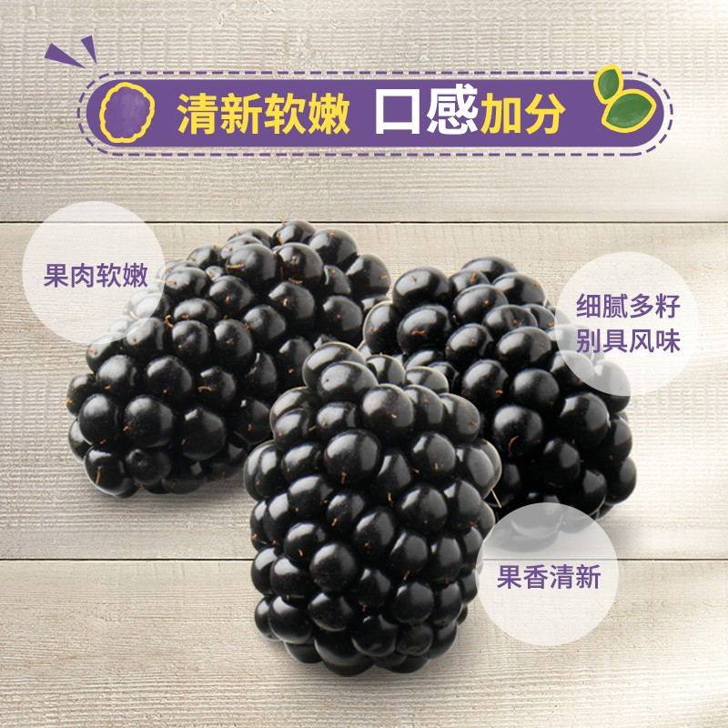 【下拉详情领补贴】Driscolls怡颗莓云南黑莓新鲜应季水果酸甜,淘宝优惠券,粉丝福利购,淘宝优惠卷