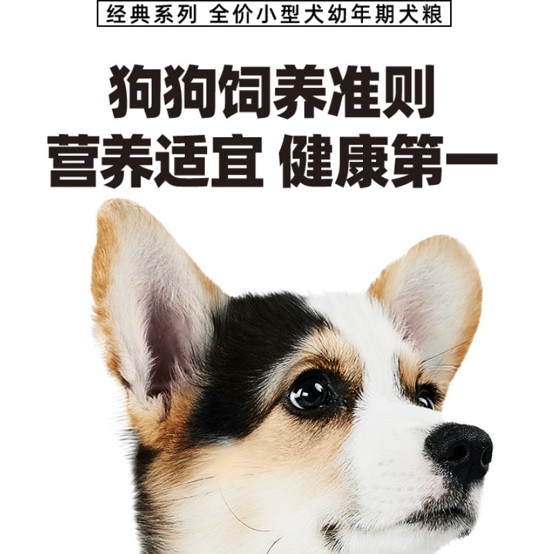 伯纳天纯狗粮小型犬幼犬狗粮1.5kg*3袋宠物粮食泰迪比熊犬粮 - 图3