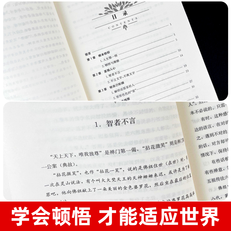 顿悟 身心修行参悟生命真谛人生意义不抱怨焦虑自我提升修心静心 - 图3