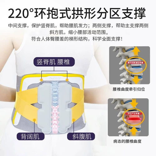 【F18 Высококачественная версия】 nutai поясной ремень Медицинская талия поддержка поясничной мышцы штамм поясничного диска