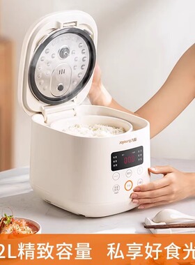 九阳电饭煲家用多功能小型电饭锅