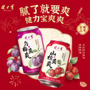 健力宝山楂爽酸甜解腻330ml*24罐