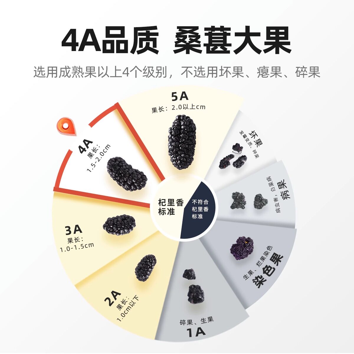 杞里香攀枝花黑桑葚大果300g头茬无沙桑椹干子泡水茶官方旗舰正品