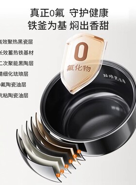 九阳0涂层不粘智能多功能电饭煲