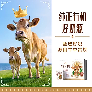 菊乐有机4.0蛋白纯牛奶高钙纯牛奶[2元优惠券]-寻折猪