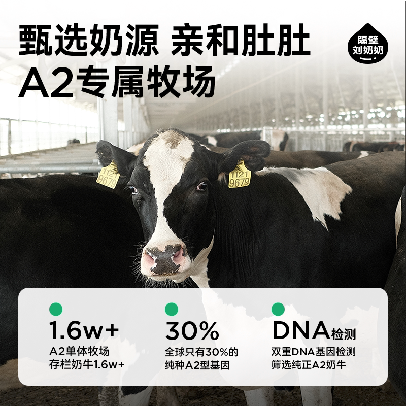 【礼盒版】隔壁刘奶奶A2β-酪蛋白高钙宝宝儿童纯牛奶200ml*10盒