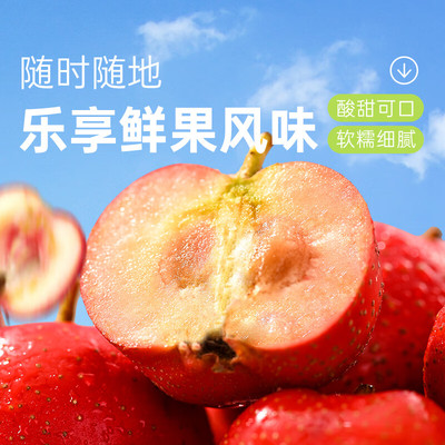金晔桑葚山楂条健康解馋好吃