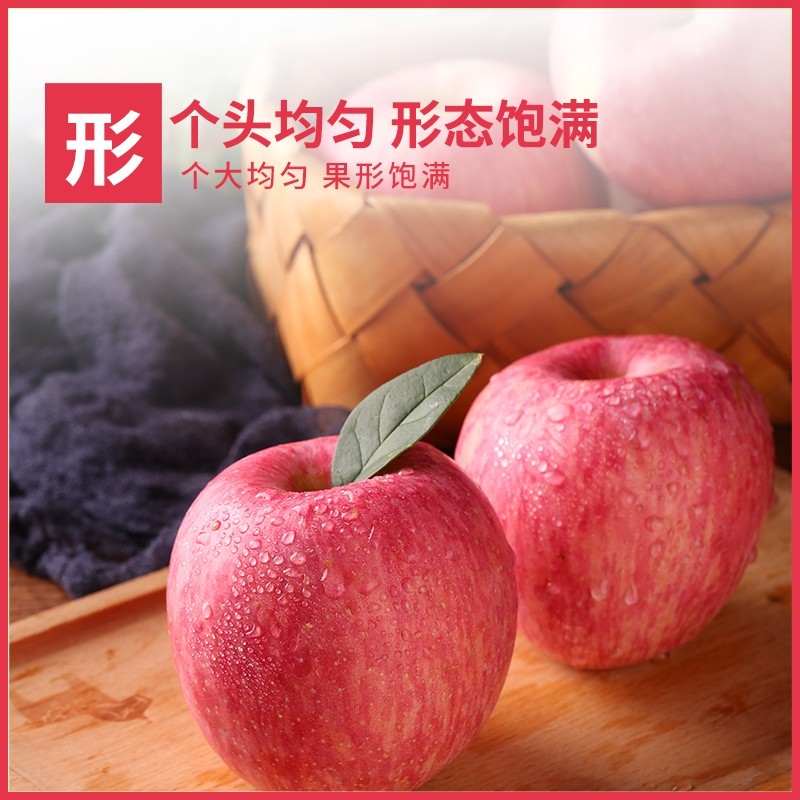 洛川苹果红富士12枚装新鲜应季水果整箱顺丰包邮 - 图3