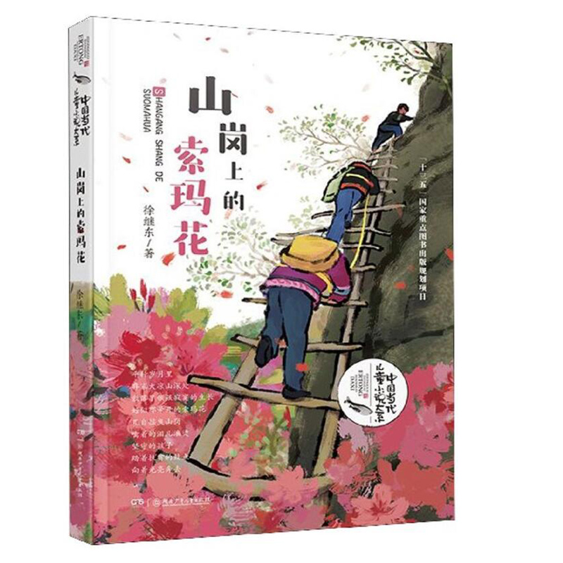 山岗上的索玛花中国儿童文学童话三四五六年级小学生必读课外书 - 图3