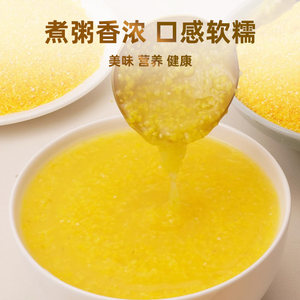 野三坡东北玉米糁罐装源自黑土地粒粒甄选大小均匀老少皆宜家用