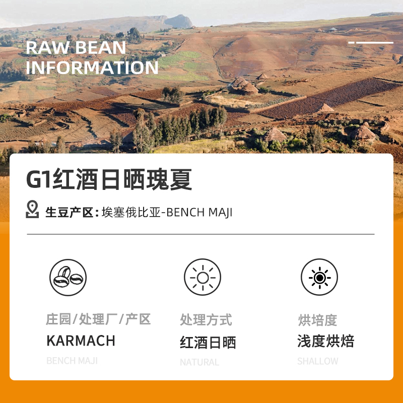 DGTOP埃塞G1红酒日晒瑰夏咖啡豆浅烘焙100g精品手冲咖啡豆单品SOE