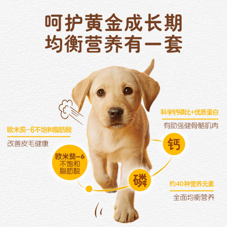 宝路Pedigree幼犬定制粮4kg全犬种全价营养狗粮牛肉味 - 图1