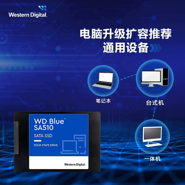 WD Western Digital Solid State Drive SA510