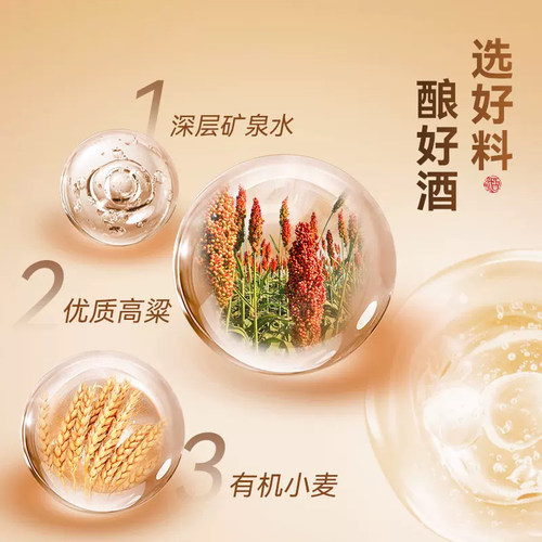 金种子酒42度特贡种子酒460ml*2两瓶装浓香型白酒纯粮食酒 - 图2