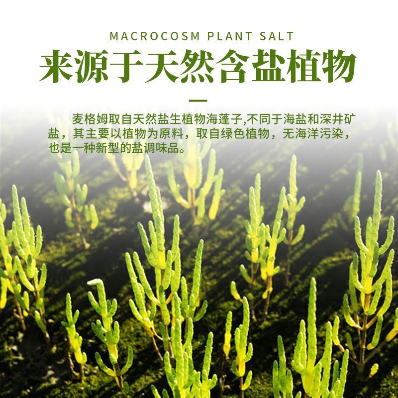 Macrocosm宝宝盐儿童盐低钠高钾食用盐300g1岁辅食海蓬子植物盐 - 图3