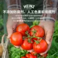 亨氏番茄酱番茄沙司320gx1袋蕃茄酱蕃茄沙司三明治食材家用薯条酱 图片 5