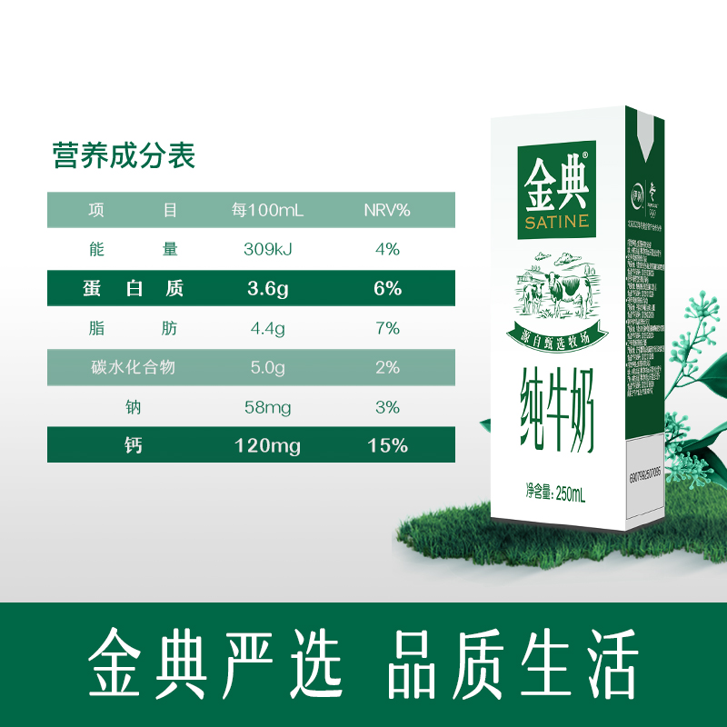 天猫超市【超定制】伊利金典纯牛奶250ml*24盒/整箱 早餐奶天猫超市3