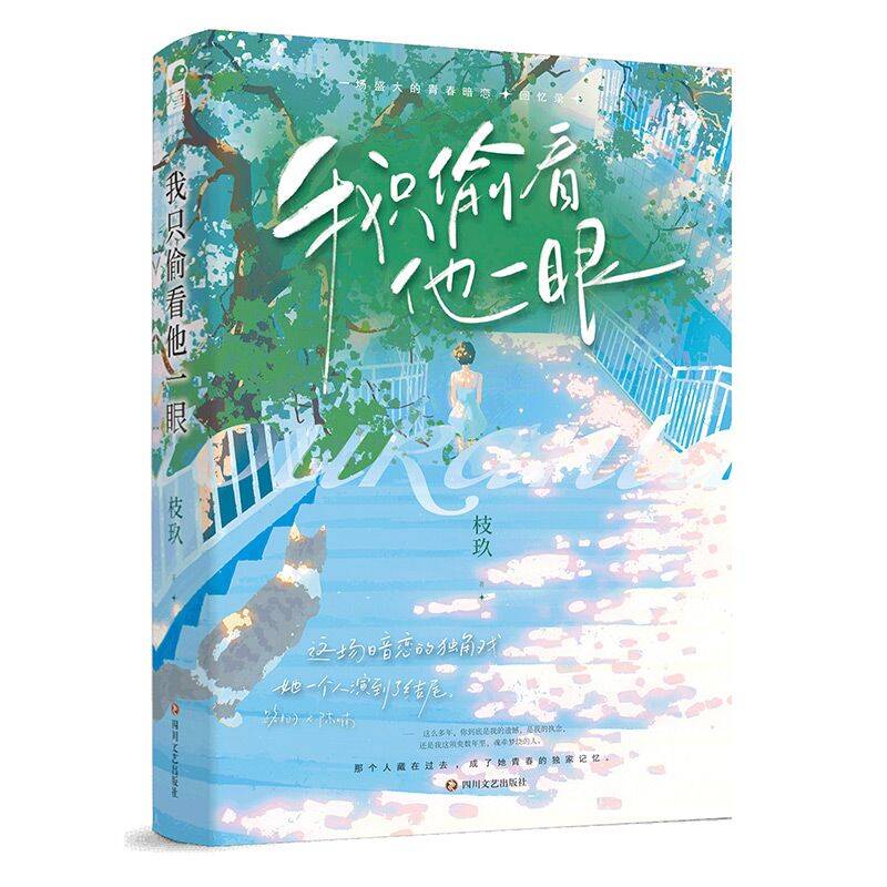 印特签 我只偷看他一眼 枝玖 完结番外后记青春文学校园爱情be文 - 图3