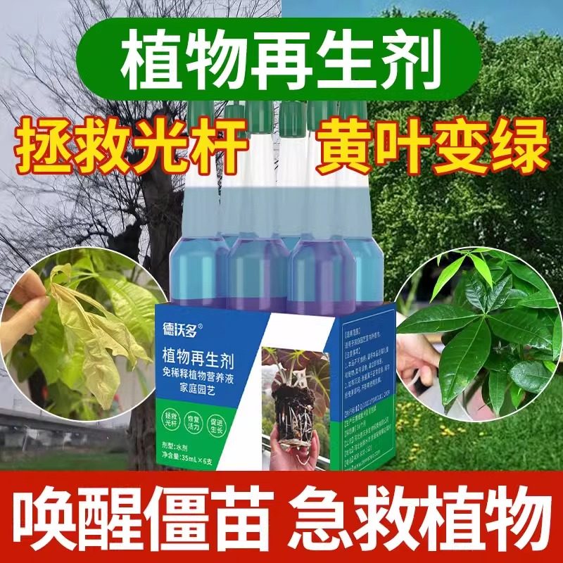 发财树植物再生剂浓缩营养液肥料专用肥盆栽复活液防黄叶,淘宝优惠券,粉丝福利购,淘宝优惠卷