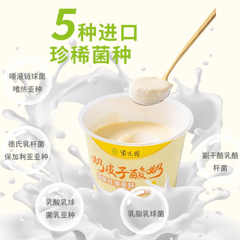 紫光园奶皮子酸奶酪北京特产老字号低温网红酸奶源头直送