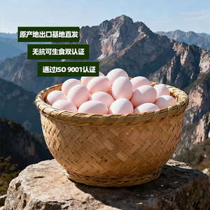 鹏昌60枚粮食鲜鸡蛋通过无抗可生食认证