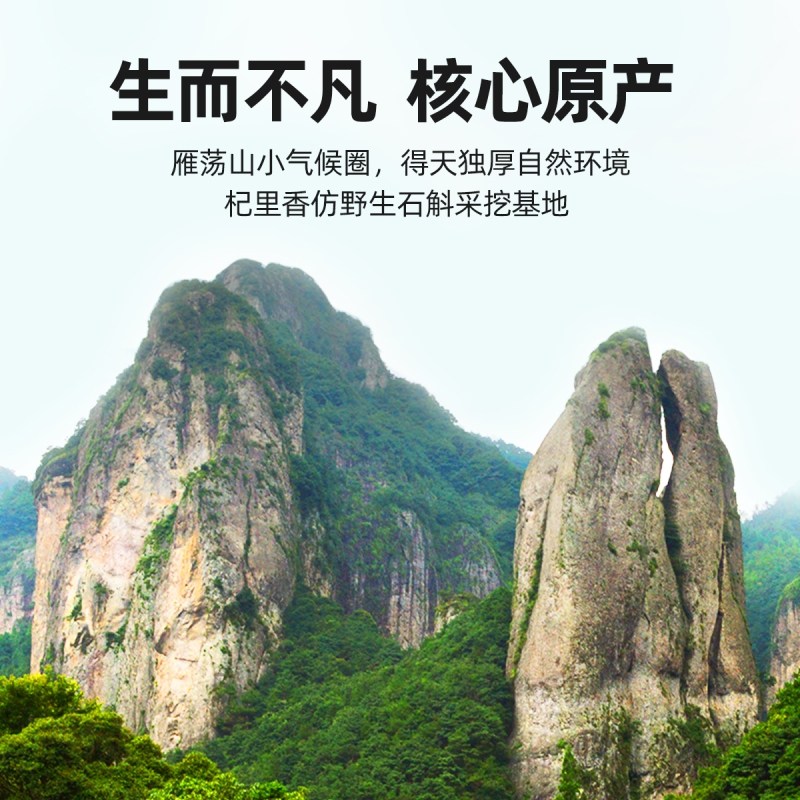  天猫超市石斛/枫斗