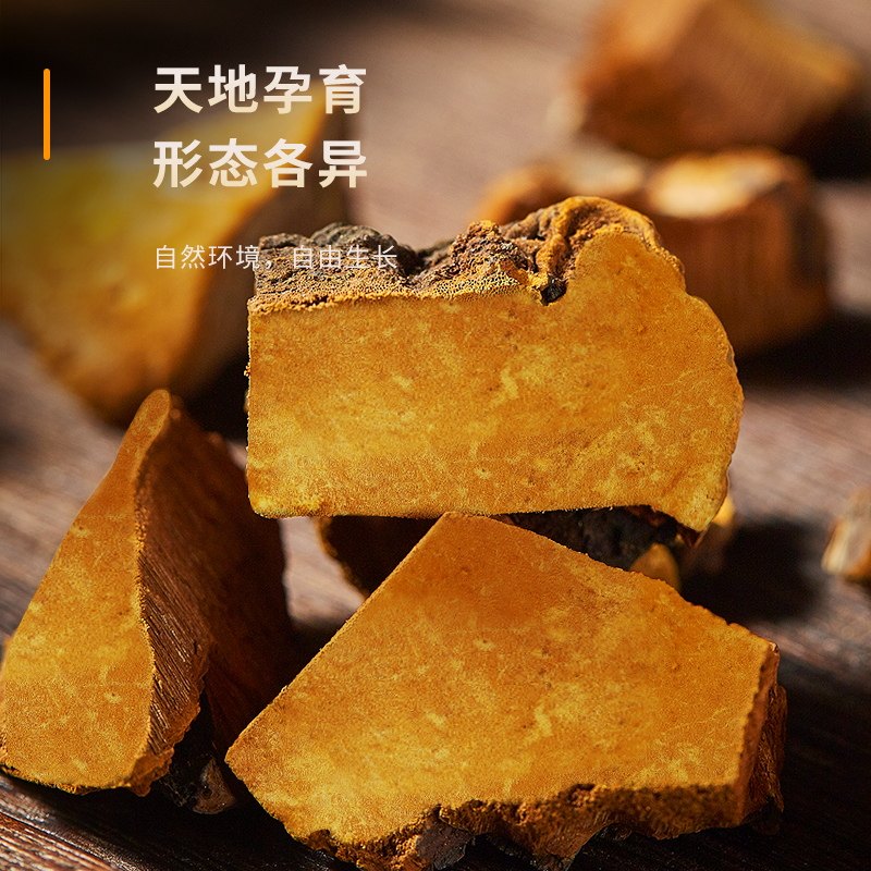 半山农桑黄西藏正宗桑树菌种手工切块非紫灵芝长辈养生茶,淘宝优惠券,粉丝福利购,淘宝优惠卷