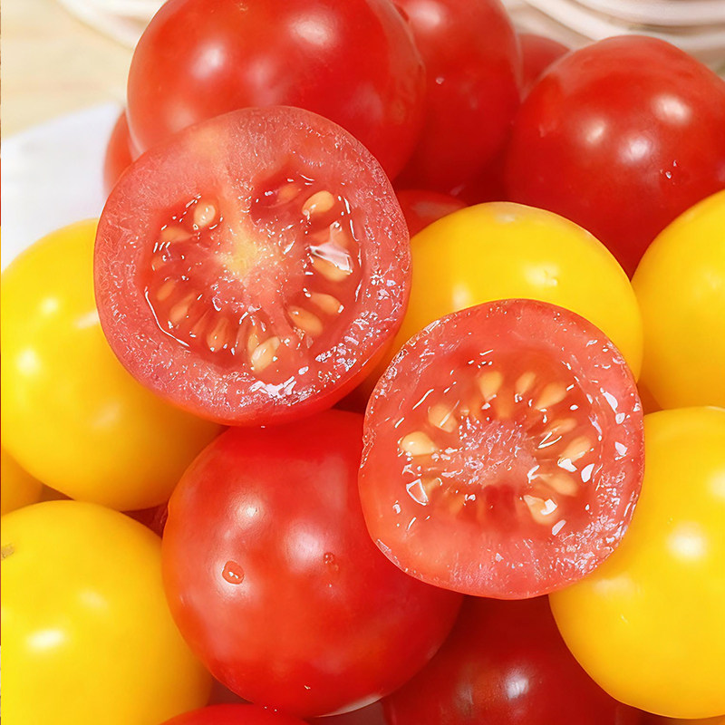 【知翠】红黄樱桃小番茄生吃小西红柿新鲜水果脆甜多汁自然熟,淘宝优惠券,粉丝福利购,淘宝优惠卷