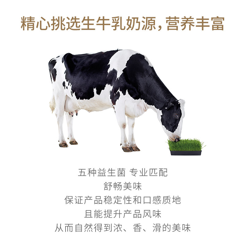 【下拉领淘金币更优惠】卡士酸奶草莓鲜酪乳120g*12杯风味发酵乳,淘宝优惠券,粉丝福利购,淘宝优惠卷