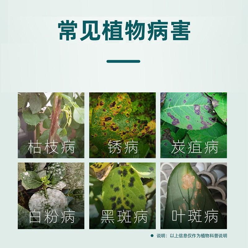 【一件包邮】德沃多免稀释杀菌剂白粉病黑斑病多菌菌灵花植物通用 - 图2