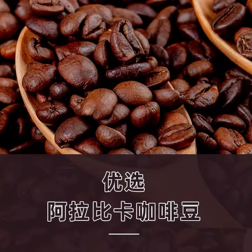 吉意欧GEO醇品经典美式咖啡豆500g阿拉比卡豆中深烘美式醇香黑咖 - 图2