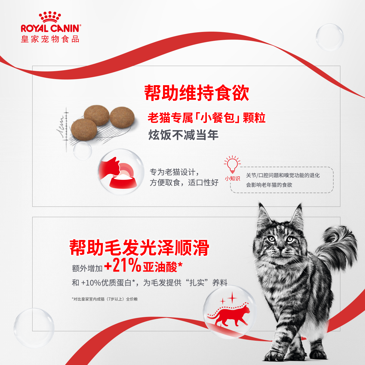 【尝鲜试吃】皇家11岁以上成猫老年猫英短美短布偶通用粮试吃装,淘宝优惠券,粉丝福利购,淘宝优惠卷
