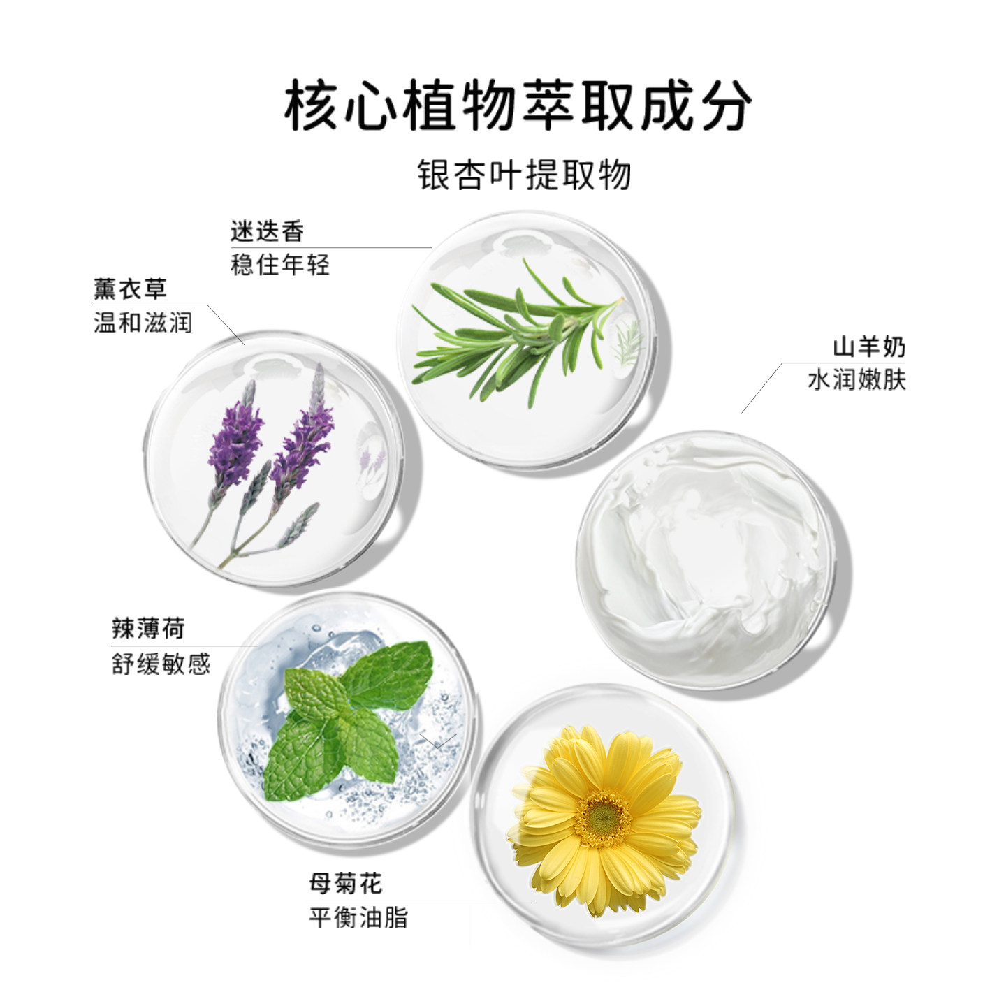 婵真银杏泡沫洗面奶洁面乳女深层清洁毛孔控油学生温和洁面200g