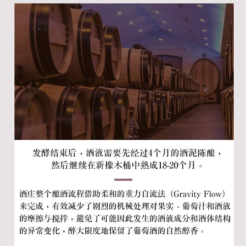 力士金庄园红酒玛歌产区力士金干红正牌法国进口波尔多红葡萄酒 - 图2