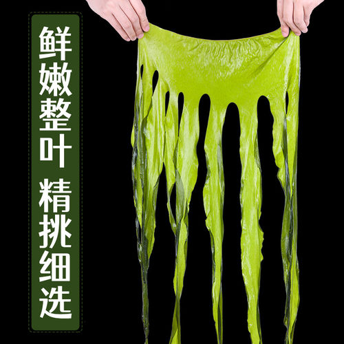 赶海弟鲜裙带菜250g*2袋非海产干货海带苗海木耳做虾皮汤 - 图2