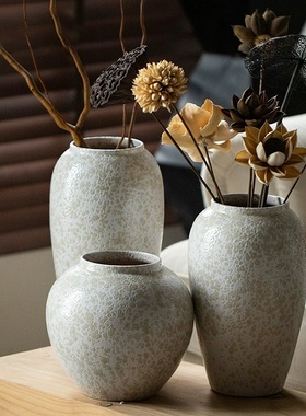 景德镇玻璃罩田园风陶罐家居客厅书房玄关台面装饰摆件插花水培