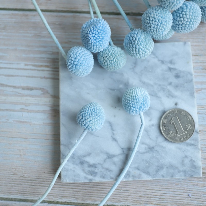 等花来黄金球永生花单个diy花材保鲜花 花盒玻璃罩制作配材直销,淘宝优惠券,粉丝福利购,淘宝优惠卷