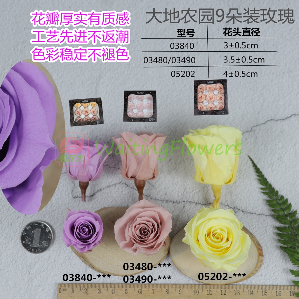 玫瑰永生花03480系列进口大地农园3.5-4cm9朵装保鲜花diy材料 - 图0