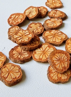 【红花藤】天然红藤木片复古香薰蜡烛diy干花果实植物装饰血藤片