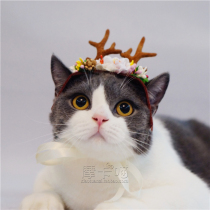 *Moka meow * Artisanal Pet Cat Dog Head Accessories Headgear Pet Christmas hat Reindeer Corner Wedding Flowers God Little Fairy