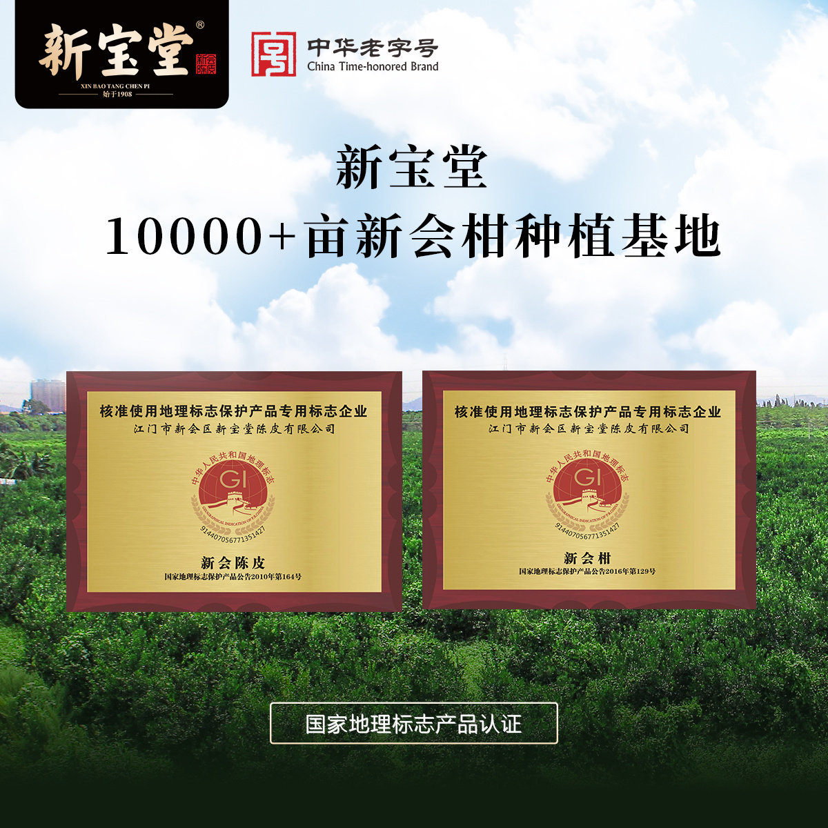 【李佳琦年货预售零食节】新宝堂十五年新会陈皮瑞藏天香礼盒200g,淘宝优惠券,粉丝福利购,淘宝优惠卷